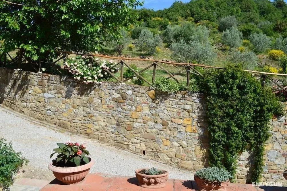 Agriturismo Podere Terrena - Dış Mekan