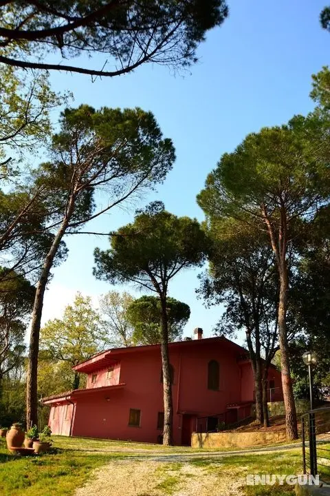 Agriturismo Poggio al Pino - Öne Çıkan Resim