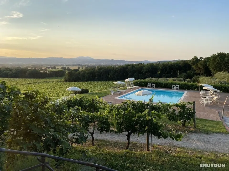 Agriturismo Poggio alle Vigne - Öne Çıkan Resim