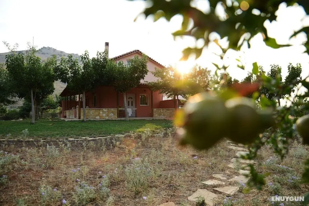 Agrotospita Country Houses - Dış Mekanlar
