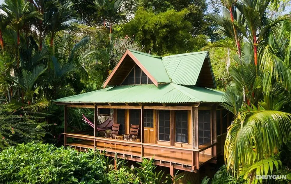 Aguila de Osa Rainforest & Marine Adventure Lodge - İç Mekan