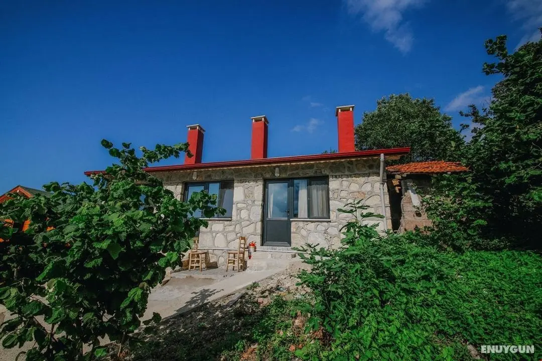 Ağva Kilimli Bungalov Otel - Dış Mekan