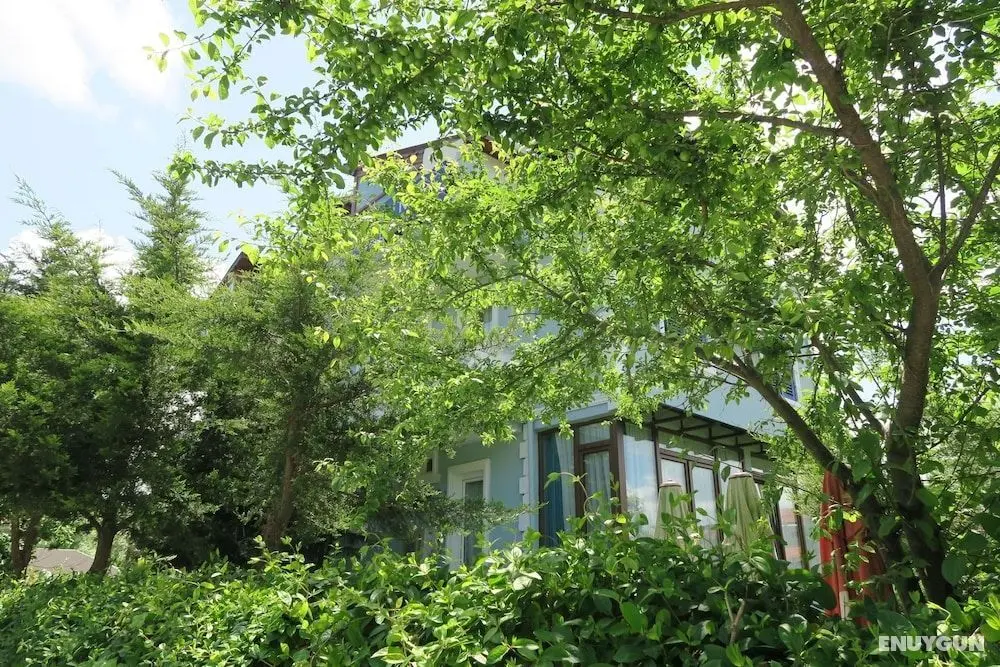 Ağva Marina Otel - Öne Çıkan Resim