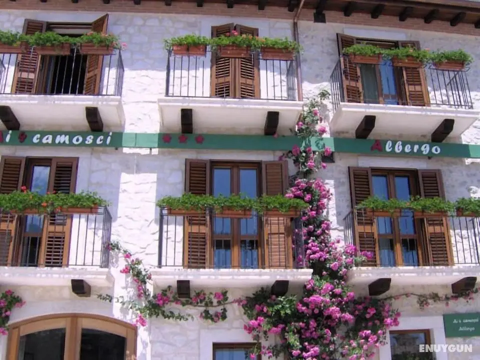 Hotel Ai 4 Camosci - Öne Çıkan Resim