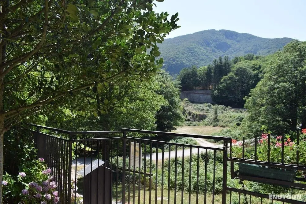 Al Rifugio della Volpe - Oda Düzeni