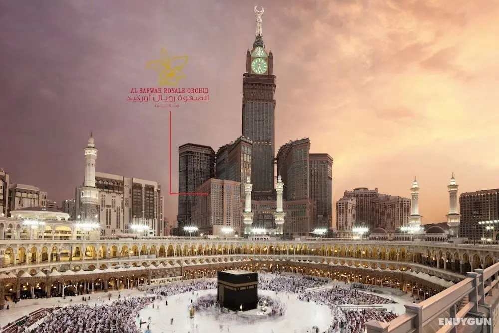 Al Safwah Royale Orchid - Öne Çıkan Resim