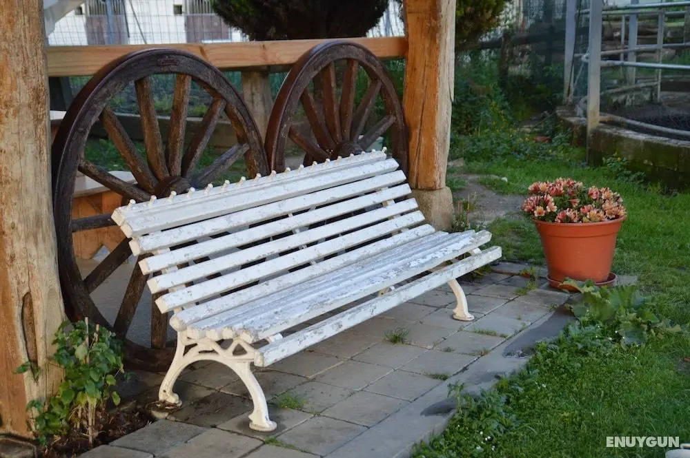Alarpe Aterpetxea - Hostel - Öne Çıkan Resim