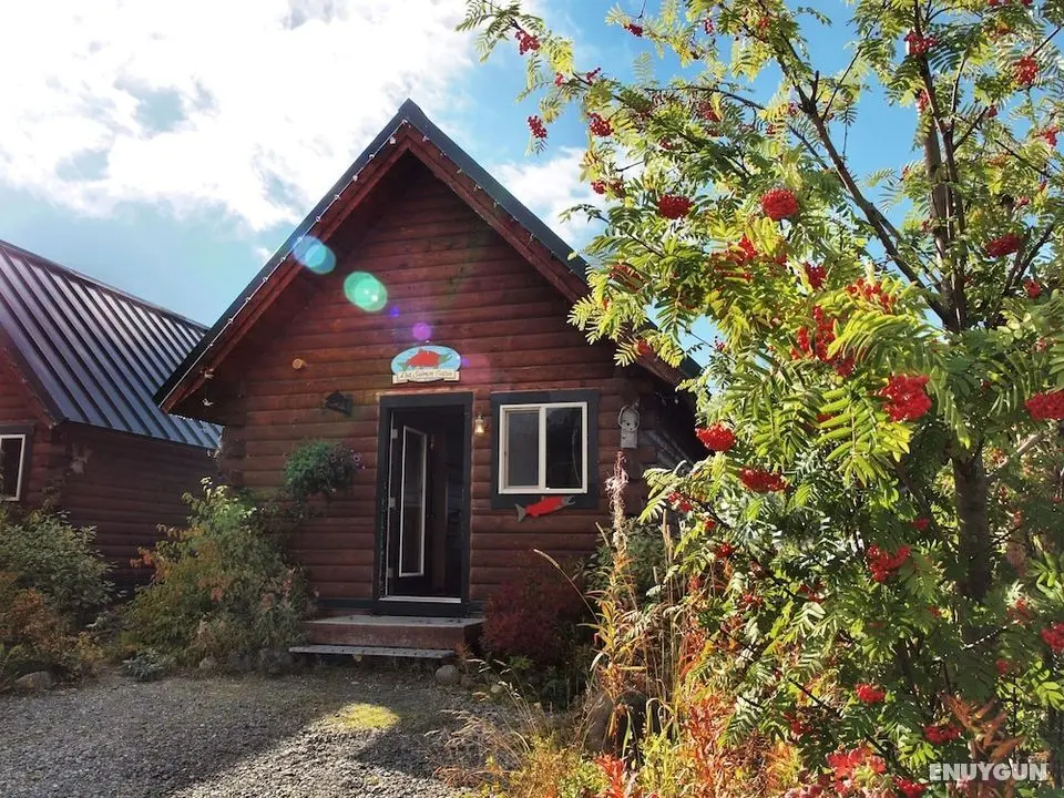 Alaskan Suites - Öne Çıkan Resim