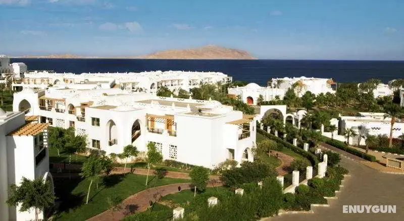 Albatros Palace Resort Sharm El Sheikh - Genel