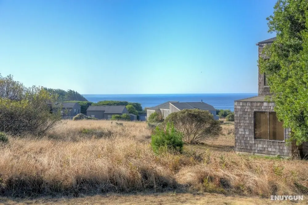 Albatross House - Öne Çıkan Resim