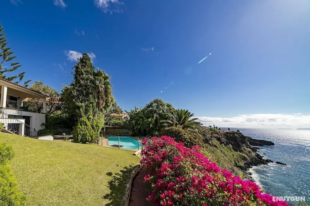 Villa Albatroz - Öne Çıkan Resim