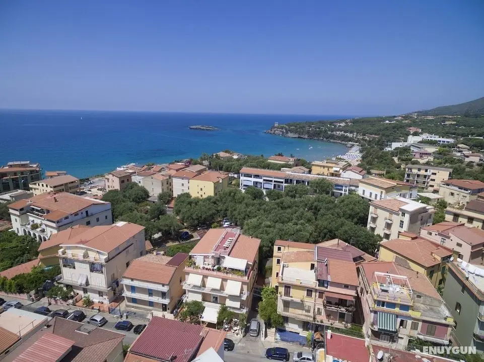 Albergo Delfino - Dış Mekan