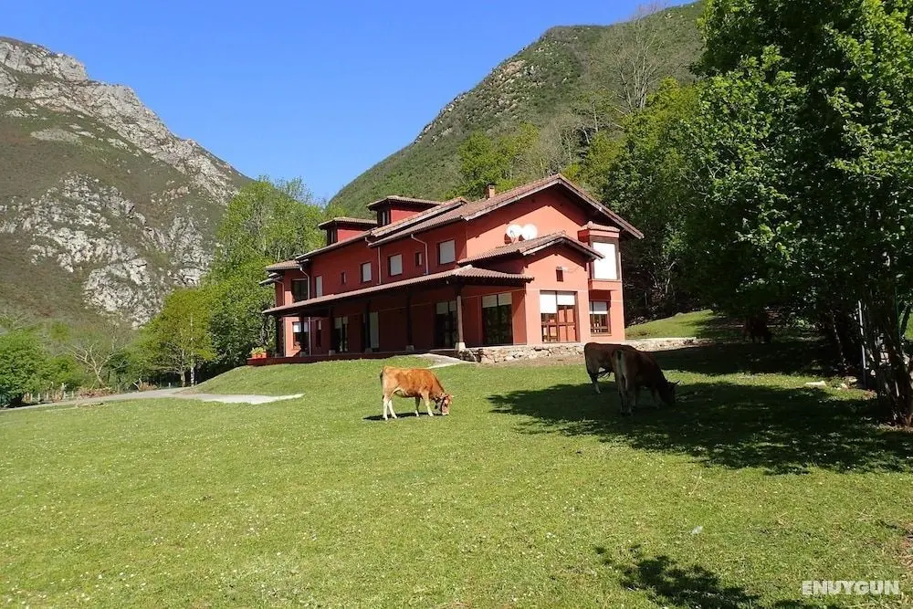 Albergue Los Avellanos - Dış Mekan