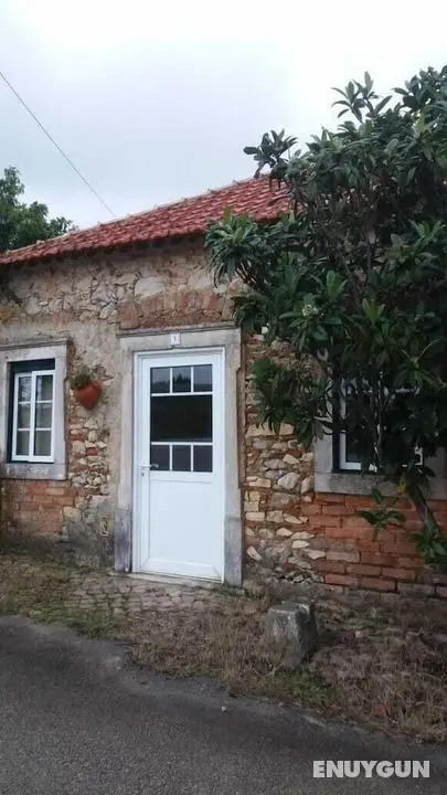 Albergue Pereira - Öne Çıkan Resim