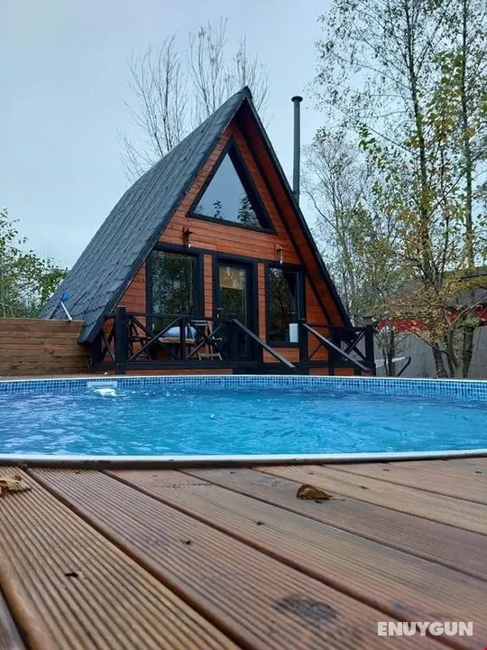 Alcedo Bungalov - Genel