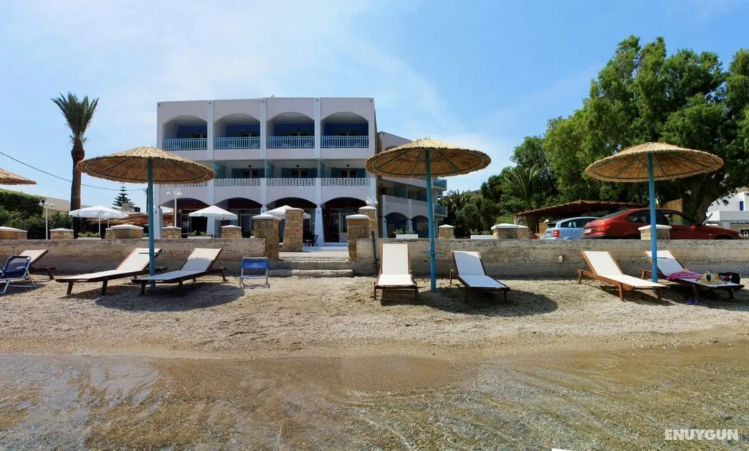 Alea Mare Hotel - Genel
