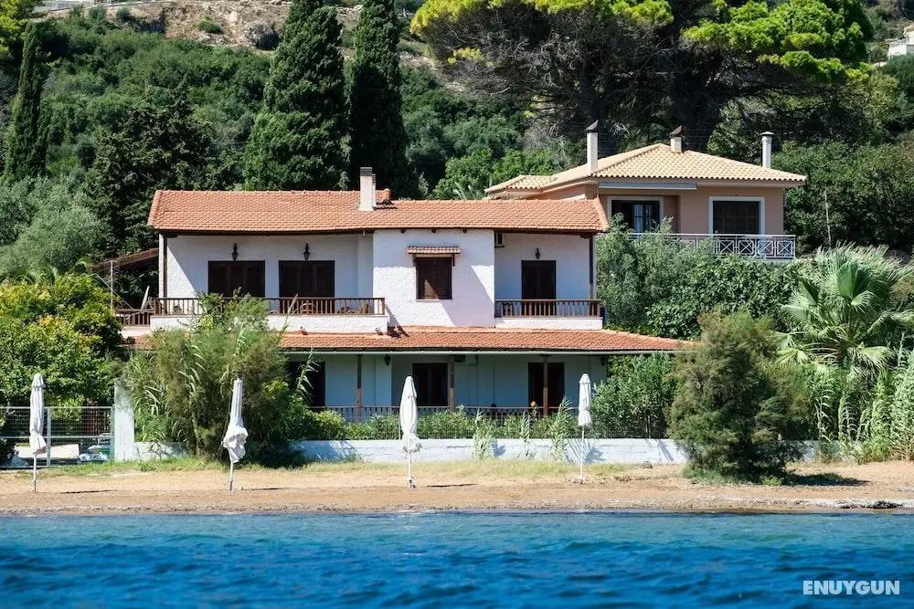 Alekos Beach Houses - Alekos Beach Complex - Öne Çıkan Resim