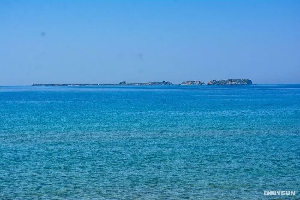 Alekos Beach Houses-Infinity - Dış Mekan