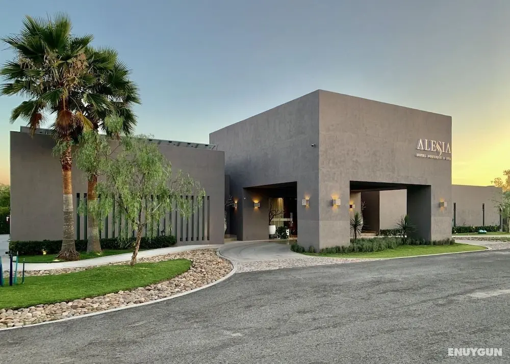 Alesia Hotel Boutique & Spa - Öne Çıkan Resim