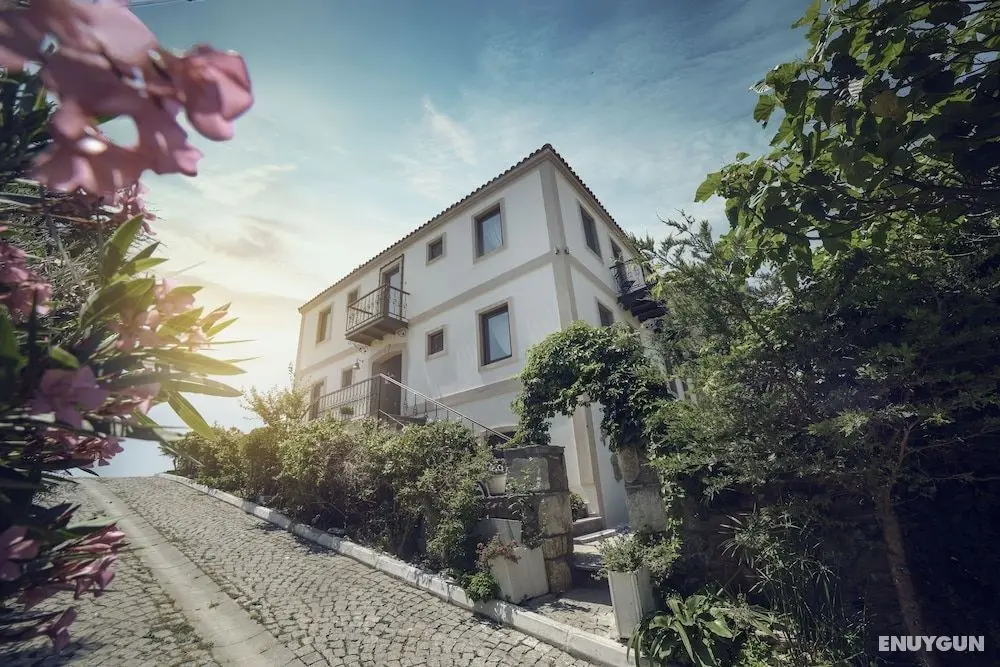 Alesta Hotel - Öne Çıkan Resim
