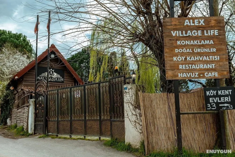 Alex Village Life - Öne Çıkan Resim