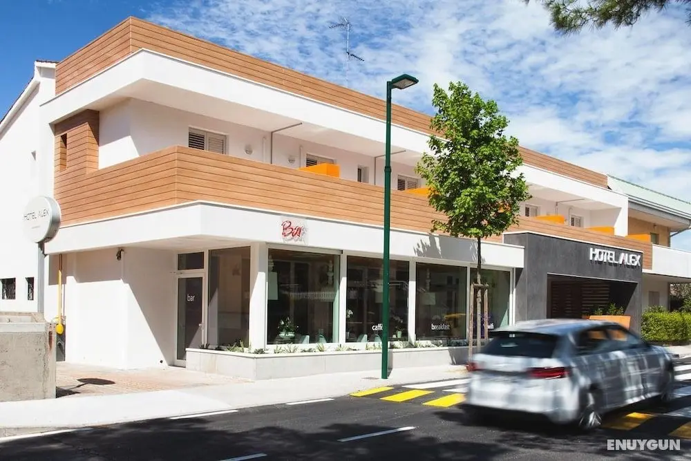 Hotel Alex - Öne Çıkan Resim