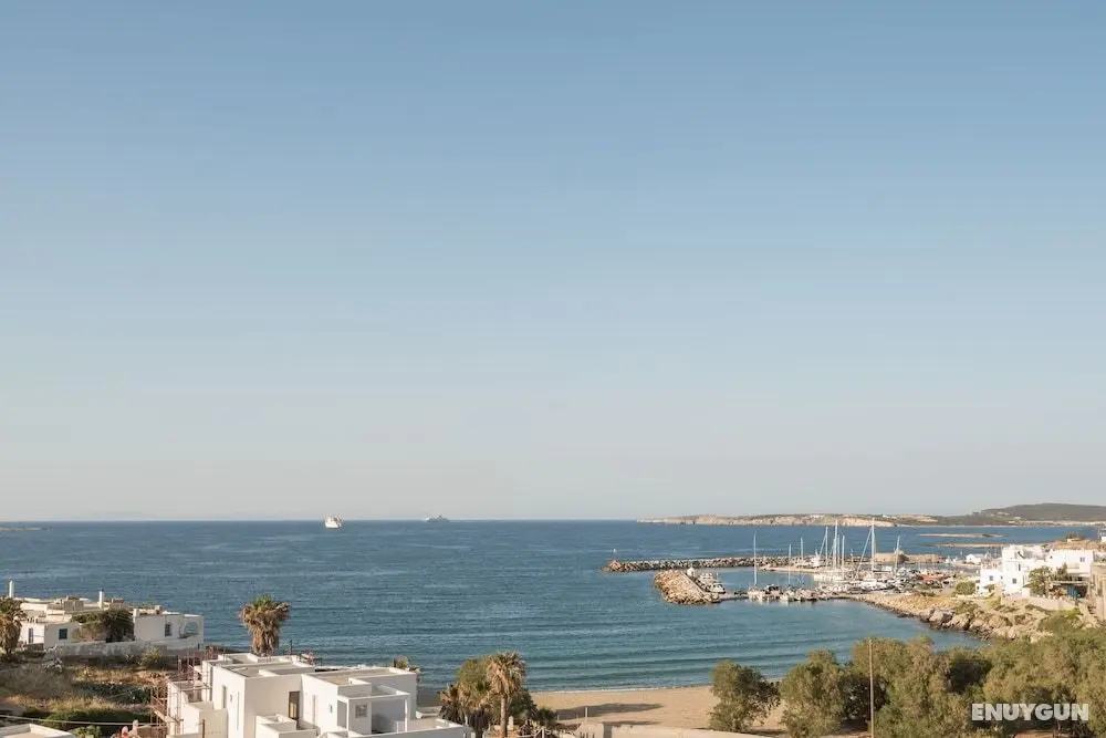 Alexandros Studios & Apartments - Öne Çıkan Resim