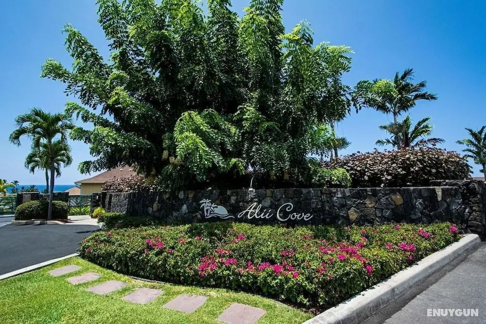 Alii Cove#g3 - Öne Çıkan Resim