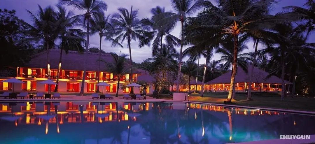 Alila Manggis - Genel