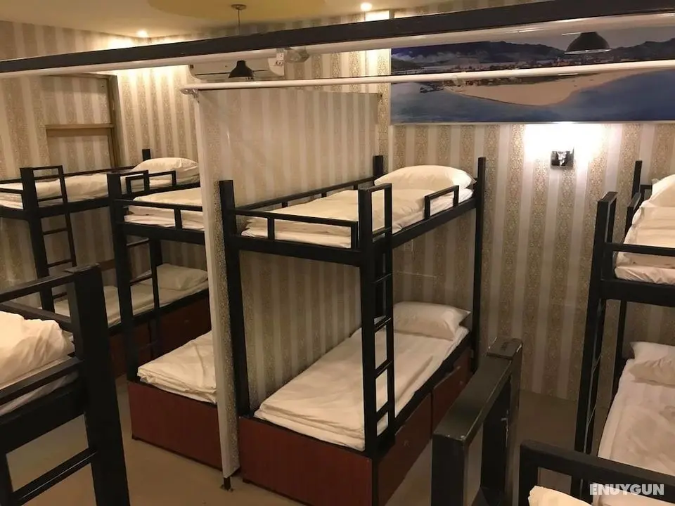 Alin Homestay - Hostel - Öne Çıkan Resim