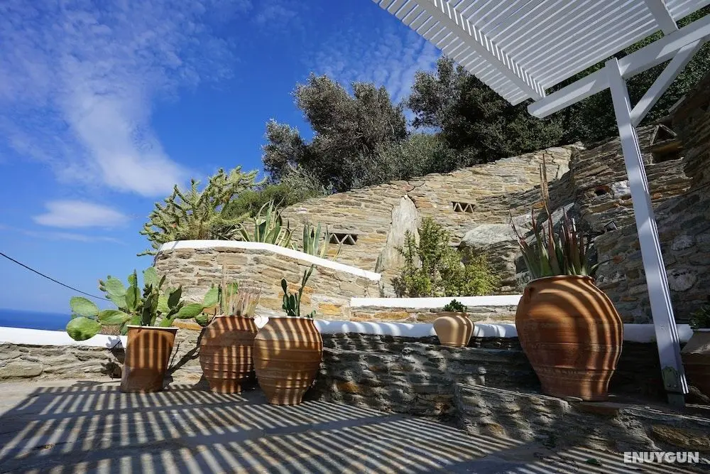 Villa Alisachni - Öne Çıkan Resim