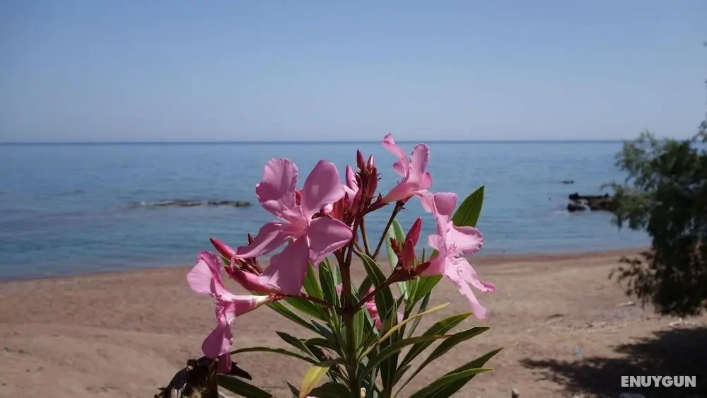 Alisahni Beachfront Villas Rhodes Beachfront Sea View Villa - Oda