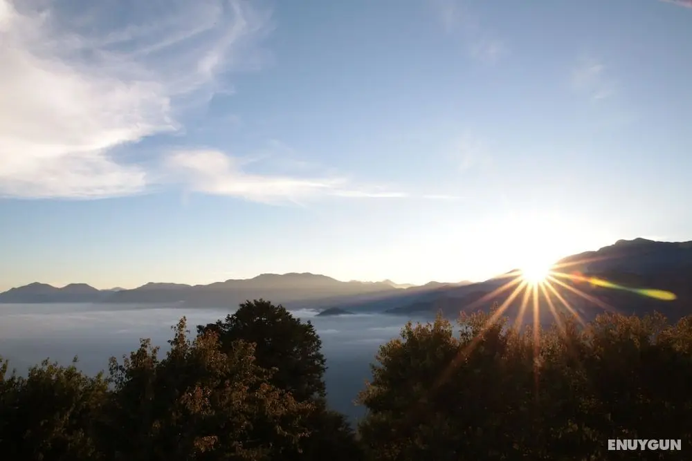 Alishan B&B Yunmingi Aliscenery - Plaj