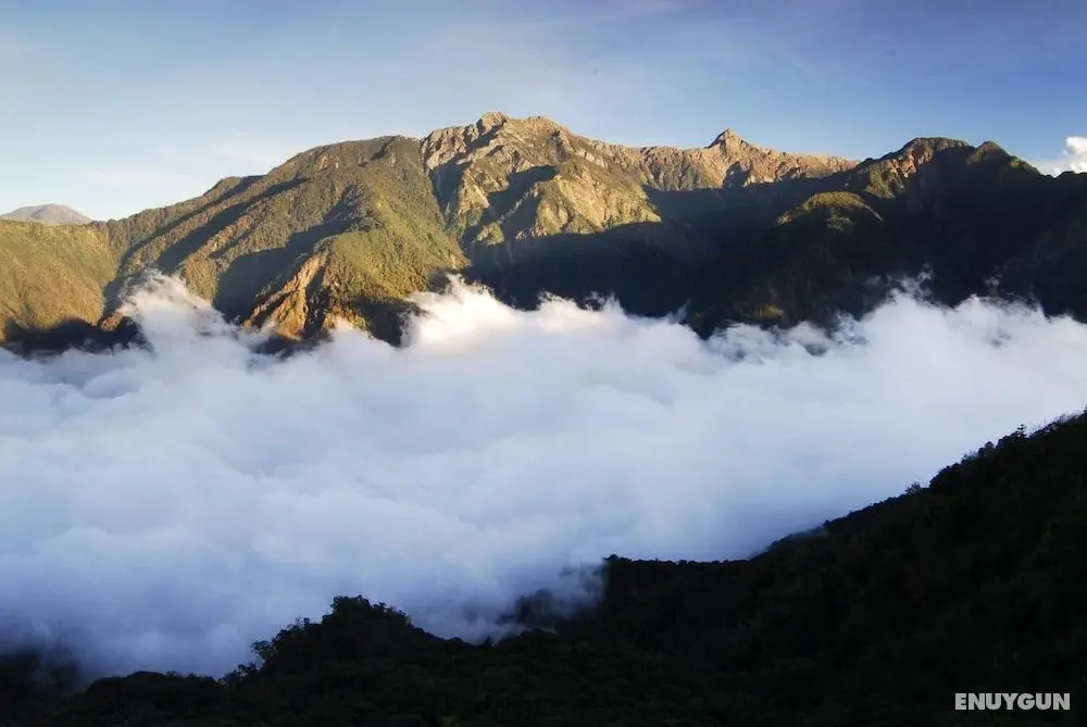 Alishan Shermuh Int' Tourist Hotel - Dış Mekan