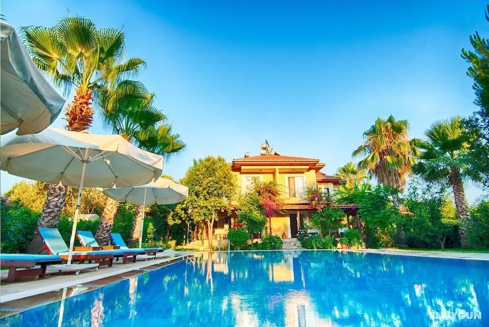 Alize Hotel - Öne Çıkan Resim