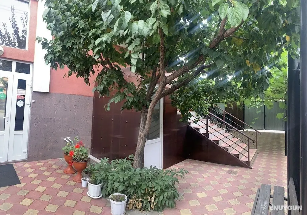 Alladin hotel - Dış Mekan