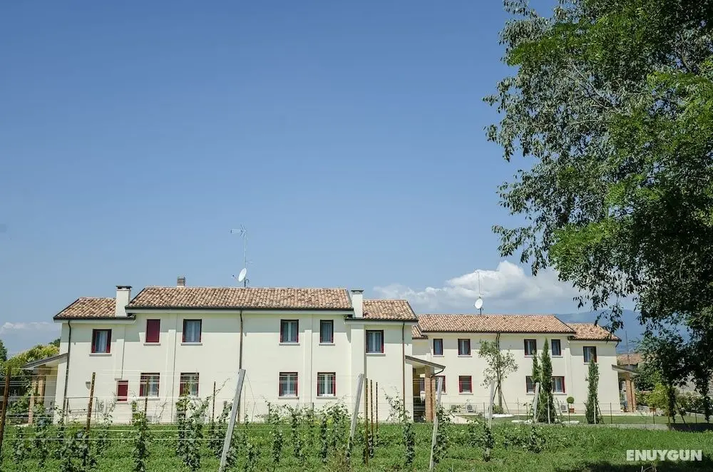 Alloggi Agrituristici Le Vignole - Dış Mekan