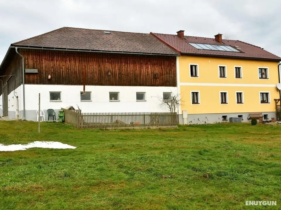 Alluring Holiday Home in Sandl near River - Öne Çıkan Resim