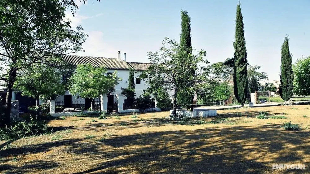 Alojamiento rural El Cortijuelo - Öne Çıkan Resim