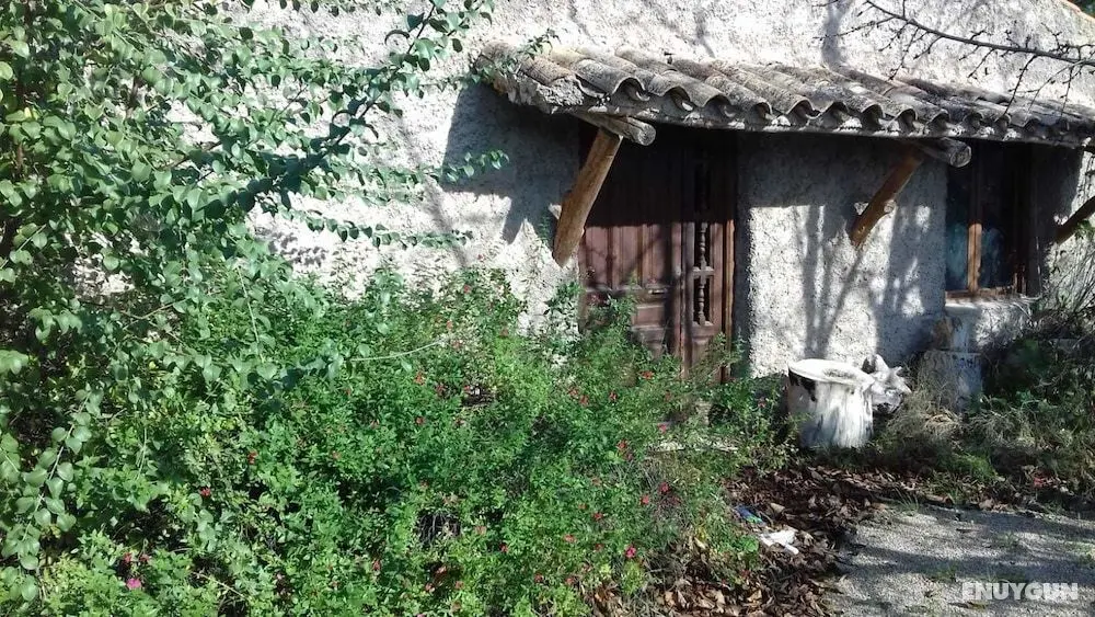 Alojamiento Rural Palaz - Dış Mekan