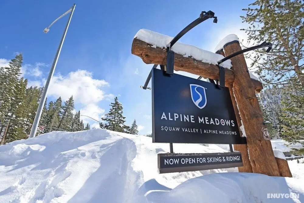 Alpine Meadows Chalet - Dış Mekan