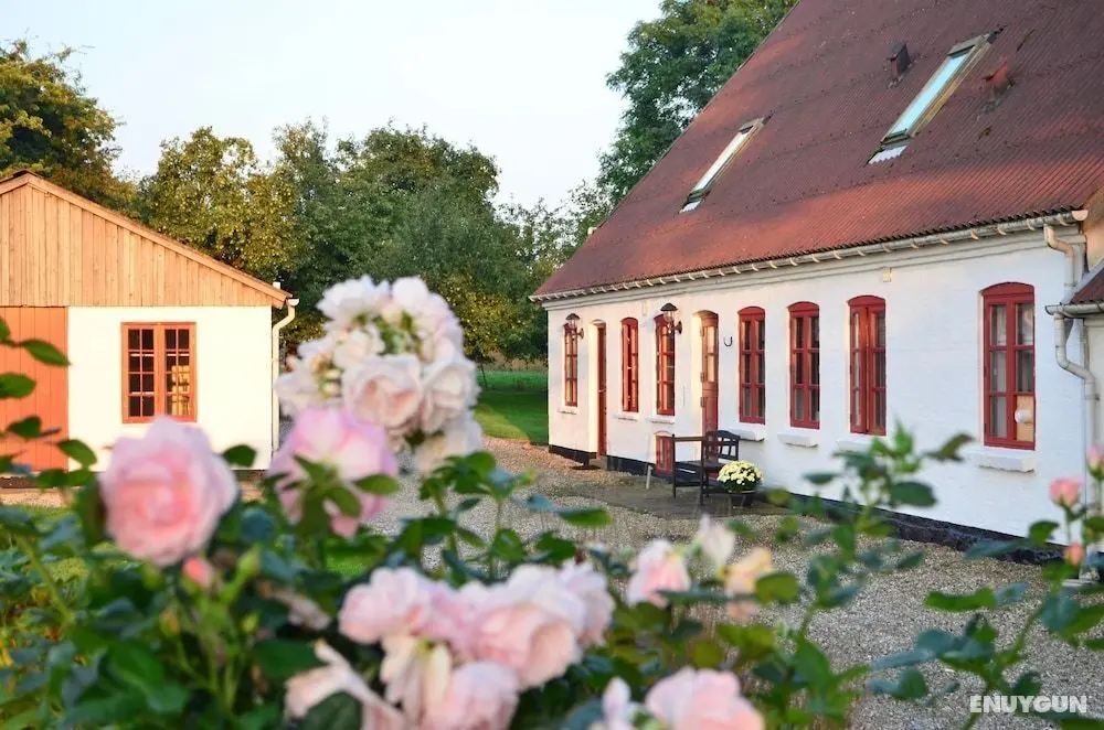 Als Kloster - det hyggelige gårdhotel - Öne Çıkan Resim