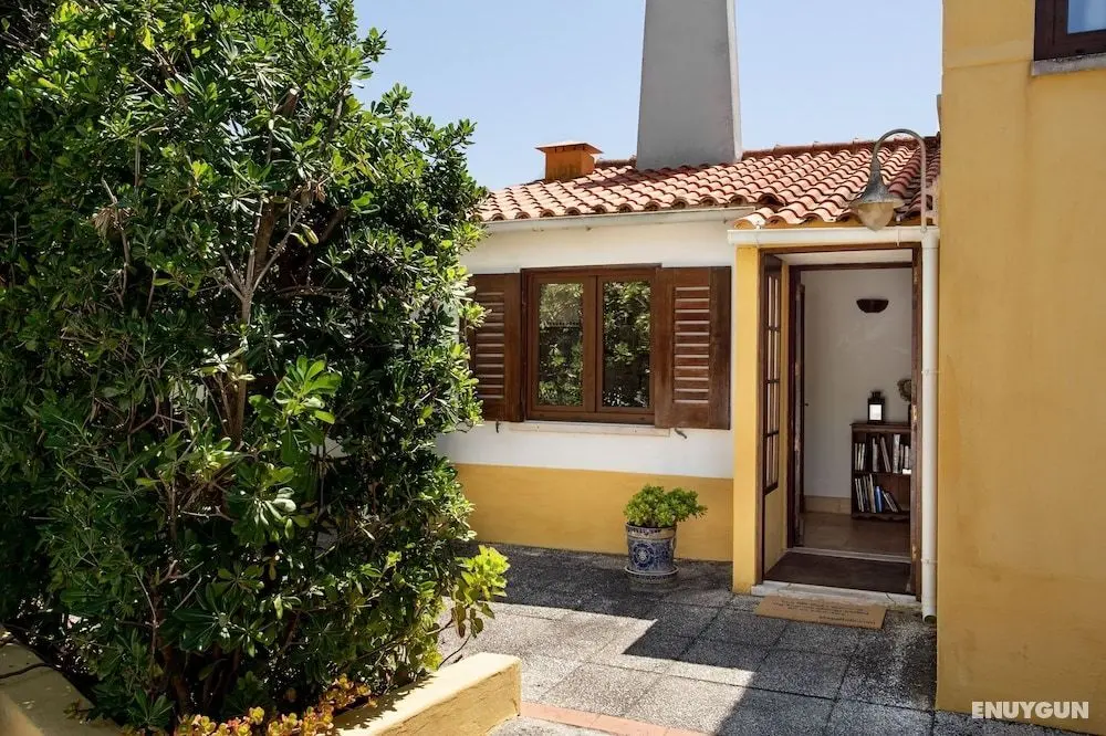 ALTIDO 3-BR Cottage w/Terrace & Garden in Colares - Dış Mekan