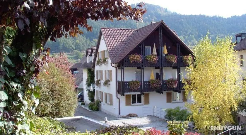 Hotel am Mühlbach - Genel