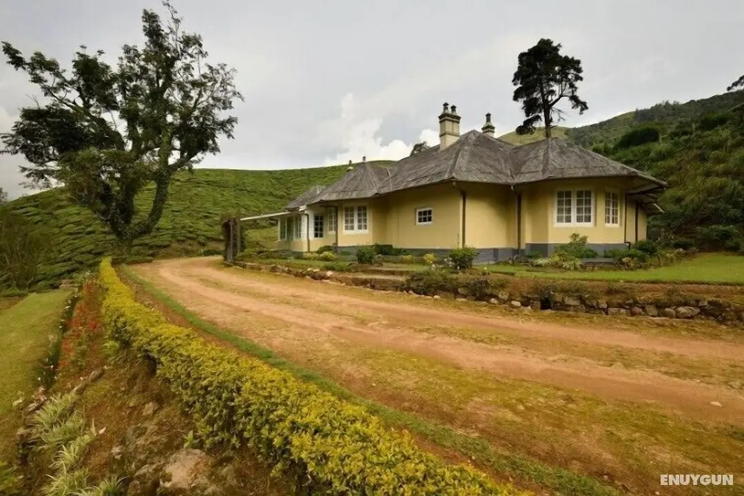 amã Stays & Trails Tea Estate Bungalows, Munnar - Dış Mekan