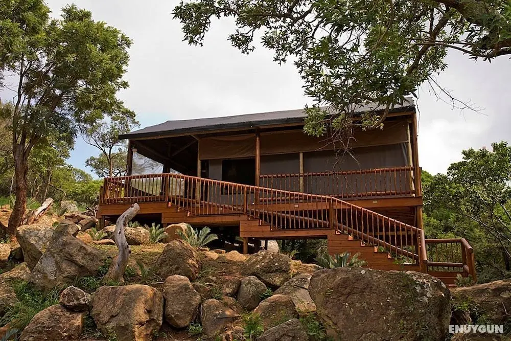 Amafu Forest Lodge - Oda Manzaraları