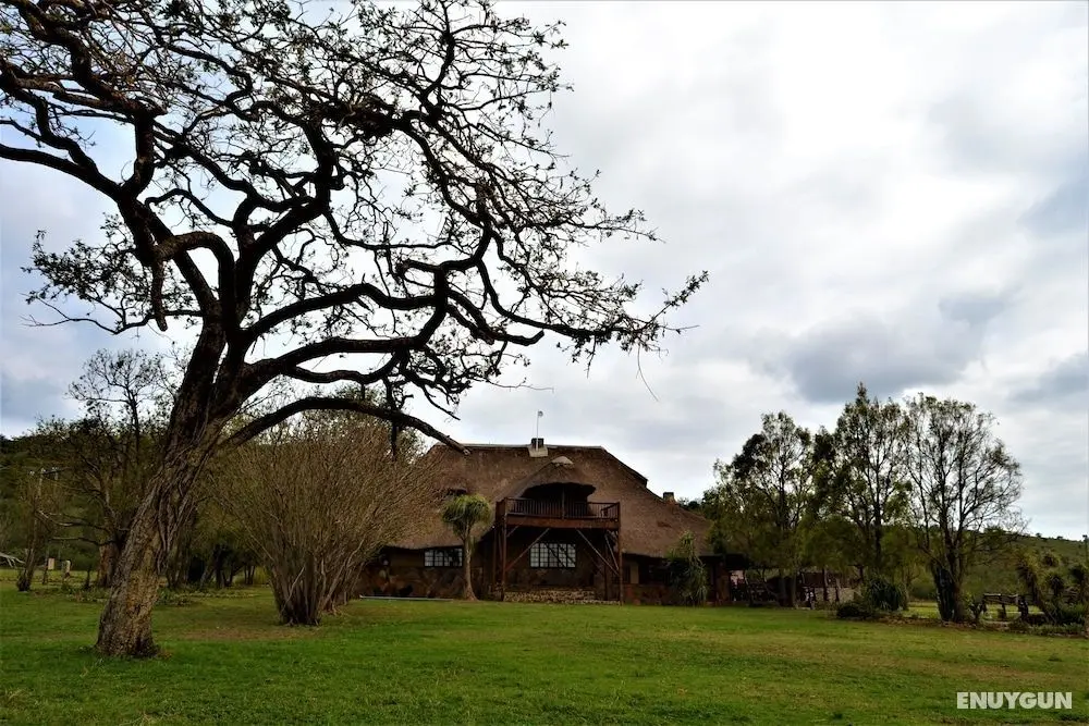 Amaka Private Game Reserve and Safaris - Öne Çıkan Resim