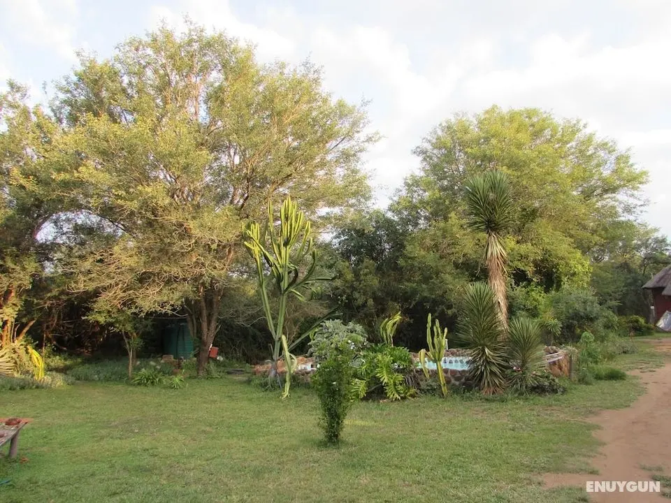 Amanzimlotzi Riverside Bush Camp in Kruger Park, Limpopo - Öne Çıkan Resim