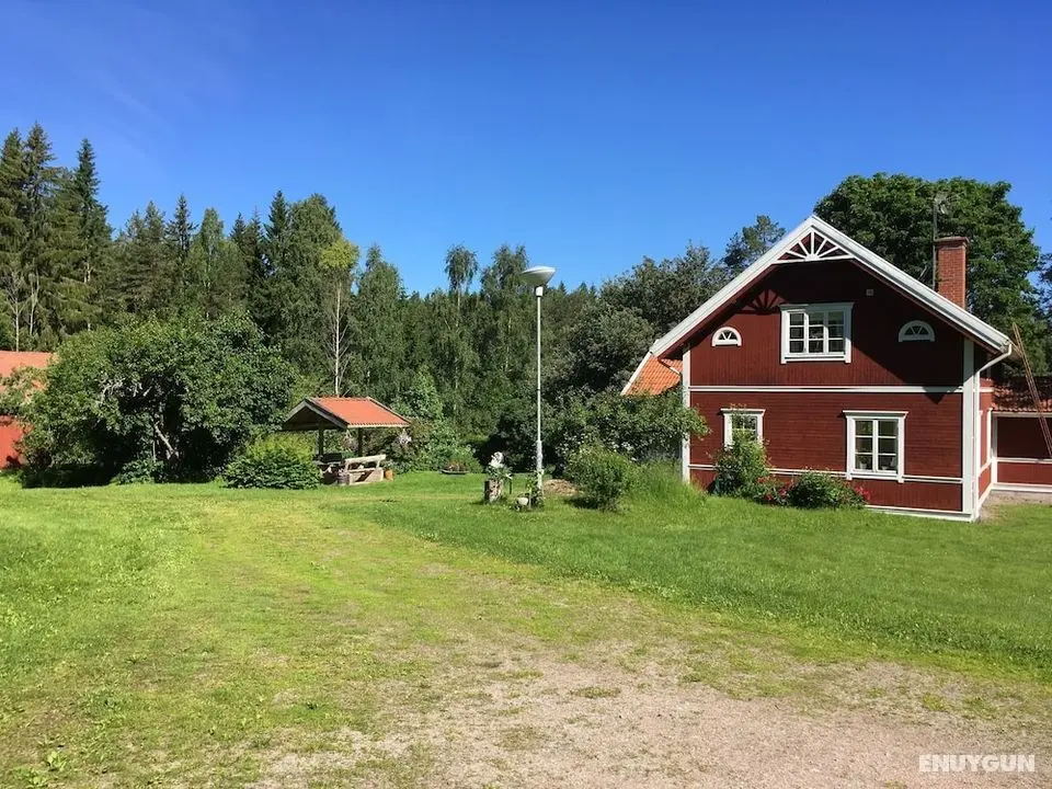 Amazing Country House Forest and Ocean Near - Öne Çıkan Resim
