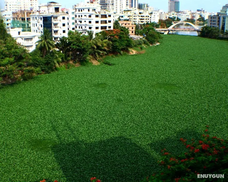 Amazon Lilly Lake View Residence - Konum Öne Çıkanlar